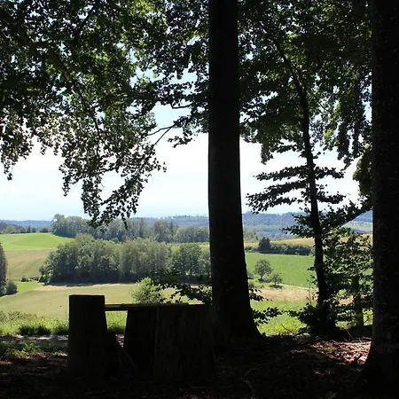 Апартаменты Zum Hohlenstein Деггенхаузерталь